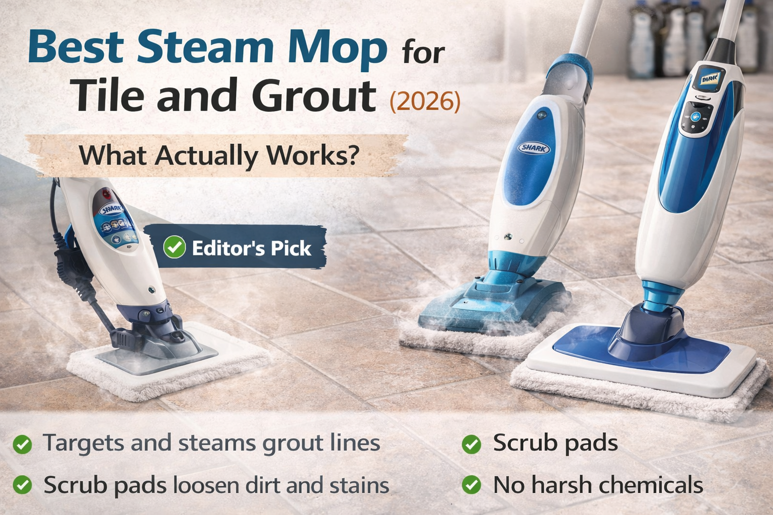 best steam mop for tile and grout cleaning kitchen floor