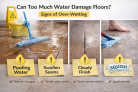 Can Too Much Water Damage Floors? Signs You’re Over-Wetting